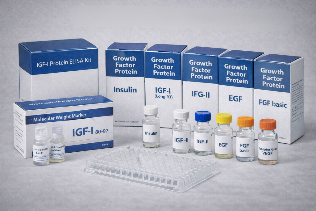 IGF-I Polyclonal Antibody (Rabbit)