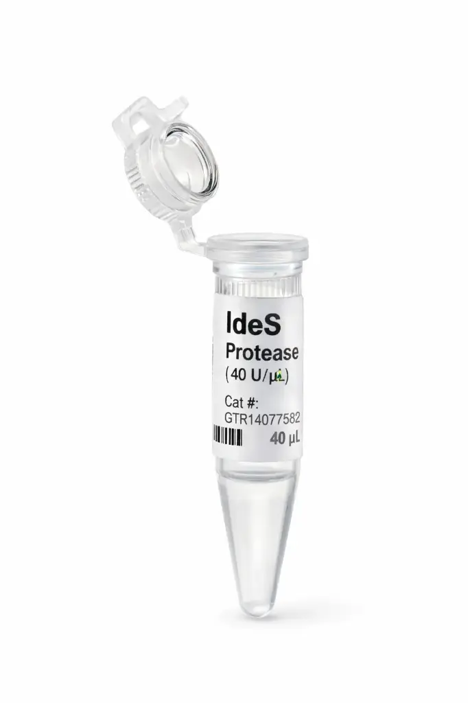 IdeS Protease (40U/μL)