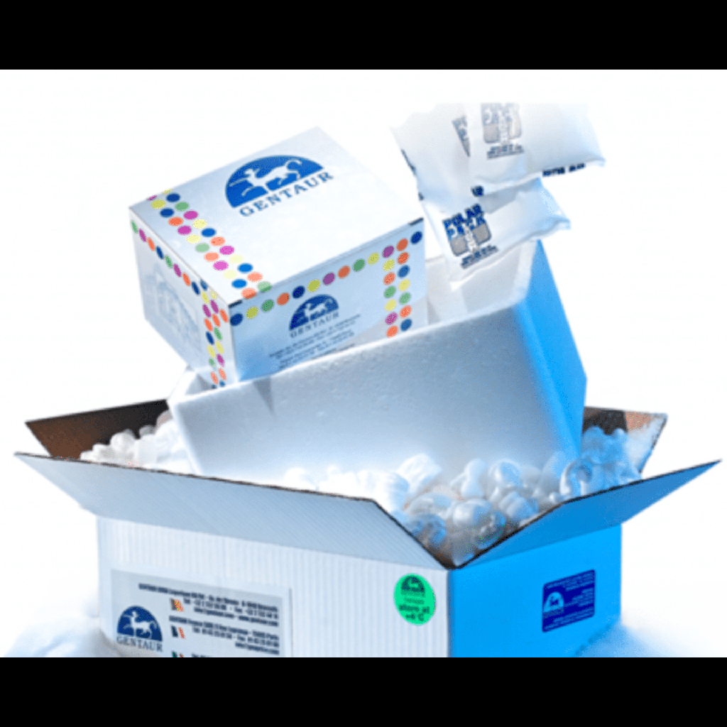 NTP Set Solution ATP, CTP, UTP, GTP, 100 mM each）